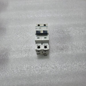 ELETROMAR WMN2C10 2P 10A TYPE C 6KA MCB MINIATURE CIRCUIT BREAKER