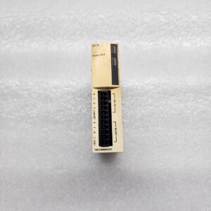 TM2DMM8DRT DISCRETE INPUT/OUTPUT MODULE