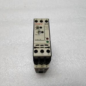 SCHIELE AHS TIMETRON 2.430.113.01 110-240VAC/24VUC/42-48VUC