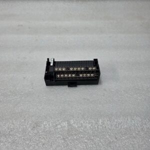 FUJI ELECTRIC RS16-DE04 DIGITAL OUTPUT TERMINAL MODULE (24V DC INPUT)