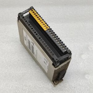 AEG MODICON DAP 212/AS-BDAP-212 DISCRETE COMBI OUTPUT MODULE