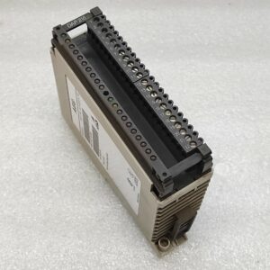 AEG MODICON DAP 216/AS-BDAP-216 OUTPUT MODULE