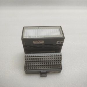 ALTUS PO1000 24VDC 16-DI SINKING OPTO MODULE 66.009.300-5