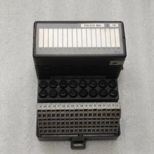 ALTUS PO1213 AI BARRIER ISOLATED MODULE 66.009.314-5 PO6101 66.009.709-4